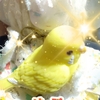 明けましておめでとうございます