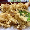 東京 新小岩 そば処「荒井家」 天丼