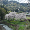 2023.03.28 厚木・飯山観音/相模原