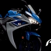 YZF-R25　ヤマハ10年に一度の250cc期待作！