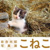 「曽我蕭白 奇想ここに極まれり」　岩合光昭写真展「こねこ」