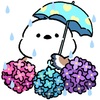 ６月　 水無月　水の月　梅雨の風情を楽しみたい