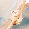 台北動物園②