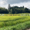 農業体験＠千葉県いすみ市　遂に憧れのBrown's Fieldに行ってきた！