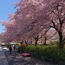 気象予報士な日々