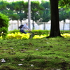 行ってらっしゃい・・・65sgg。