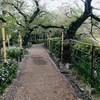 優しい世界に涙して、路上ライブに憧れる
