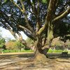 名古屋城と名城公園の距離