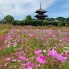 法起寺