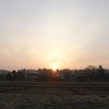 春の夜明け