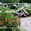 【あじさい寺】兵庫西脇市の紫陽花スポット『西林寺』へ｜マクロレンズと撮る紫陽花の世界