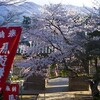 舞鶴・松尾寺の桜