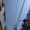 3月23日…晴れ（暑いくらいに）