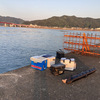 釣りに行きました 8月14日（水）　若潮　干潮　6:59  満潮　14:49