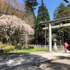 【旅行】北海道の旅㉗～春の「函館公園」「函館八幡宮」