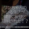 2507食目「ワンちゃんのいる生活が健康の秘訣と証明された！？」犬がいる生活で死亡リスクが23％抑制＠国立環境研究所研究チーム