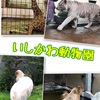 いしかわ動物園へ行ってきた