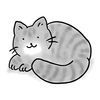 今日は「ぐるぐる猫」について語ってみます
