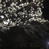 年度末最終帰宅RUN