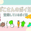 ぽこさんのポイ活 １