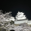 姫路城の夜桜を楽しむ