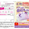  【８/２０＊毎週火曜〆】 丸美屋　ナスのクッションプレゼントキャンペーン【マーク/はがき】