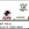 理解できなくても出来る任意コード実行解説【ポケモン金銀ver】