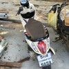 チェンカーン付近をバイクでまわる(2日めの2)