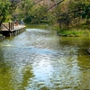 平和の森公園 ひょうたん池（東京都大田）