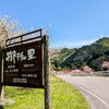 <長野県下伊那郡>GWの桜×紅葉コラボ！？浪合公園
