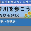 横浜2級河川・帷子川を歩こう！③（横浜駅～西横浜）