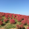 身動きが取れない・・・
