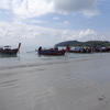 タイのリペ島（Koh Lipe）で出会った猫ちゃんたちがただただ可愛くて書いた記事です(=^・^=)