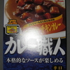 ＜夏辛これから？＞　カレー職人　スパイシーチキンカレー　辛口