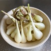 収穫（らっきょう＆ジャガイモ）6/17
