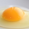 卵の白身を食べると薄毛を促進させてしまうって本当なの？ 