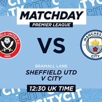 プレミアリーグが折り返しを迎えたので 全チームの特徴を語る Mancityを追うものは一兎を得ず