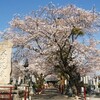 新四国曼陀羅霊場　桜 46番 香積寺　( 2011-04-05 )　3