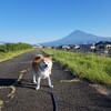 やはり英語は勉強しておくべきだった…(￣▽￣;)