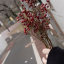 minmama_fire’s blog