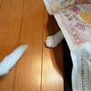 続・ただ今営業中です。