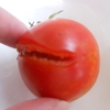 笑うトマト