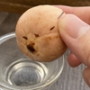 21日目：そもそも論