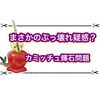 カミッチュに進化のきせきが適応！？ 次世代のポリゴン2になるか…？