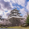 伊賀上野城の桜〜西蓮寺の桜