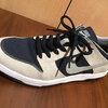 NIKE SB DUNK ELITEについて