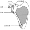 理学療法士　国家試験44-8