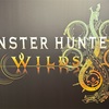 波衣と突進の夜 〜 MHWilds #121