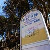 大山　【20200223】