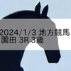 2024/1/3 地方競馬 園田競馬 3R 3歳
